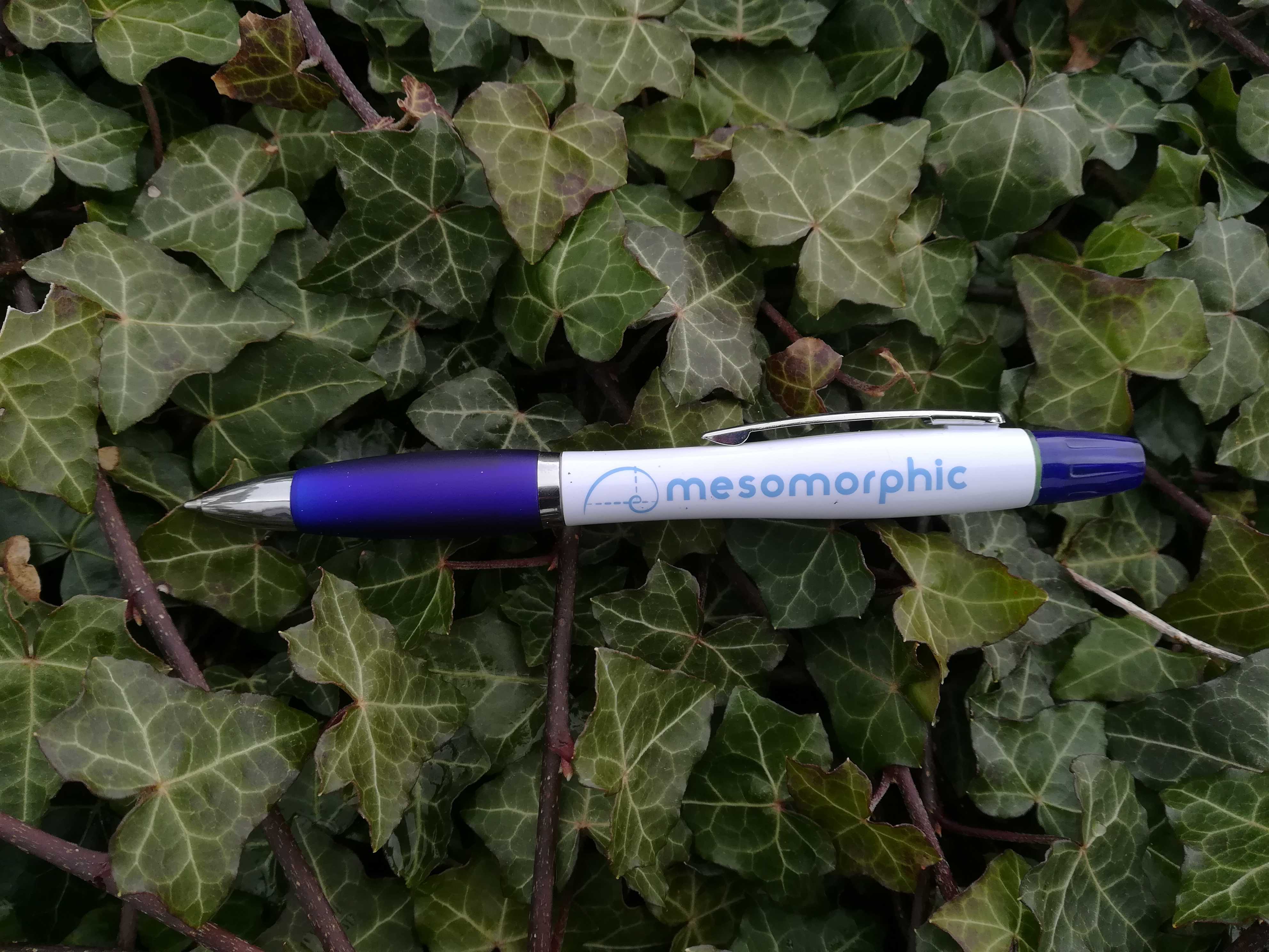 Mesomorphic Pen