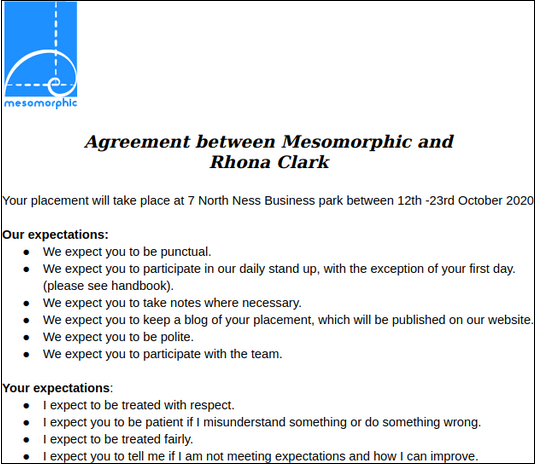 A list of the expectations from Mesomorphic and Rhona for her work experience placement. 