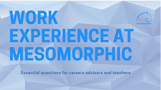 The title image for an infographic aimed at career advisors and teachers for work experience at Mesomorphici